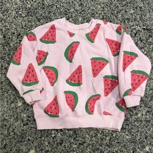 Zara Watermelon Pullover - 3T